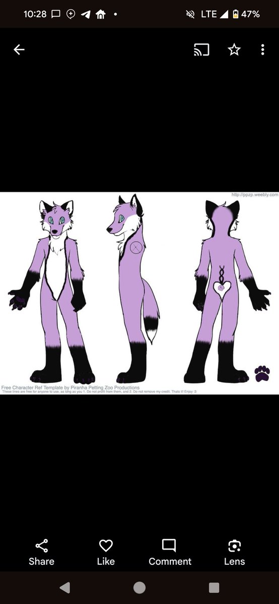 Kit Fox ➡️ FWA tweet media