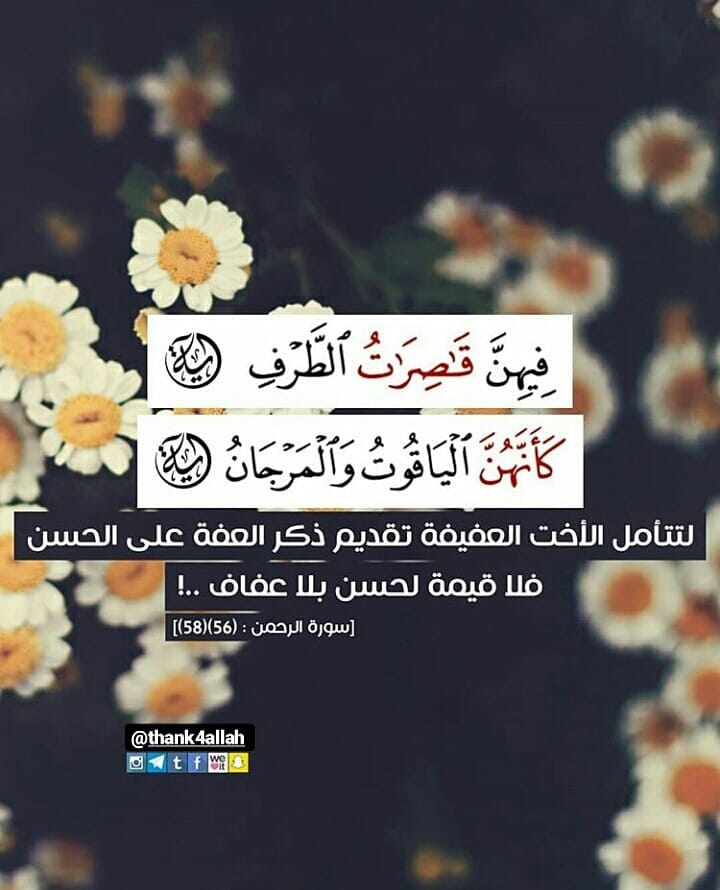 MAlmohaiteeb's tweet photo. https://t.co/dVHMaa1WAx