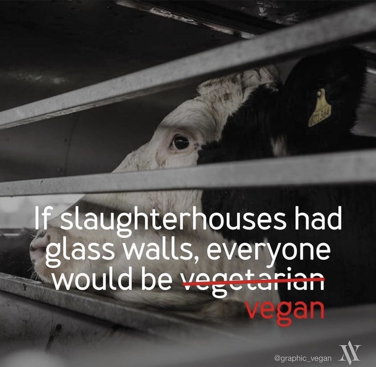 Vegan Future (@veganfuture) on Twitter photo 