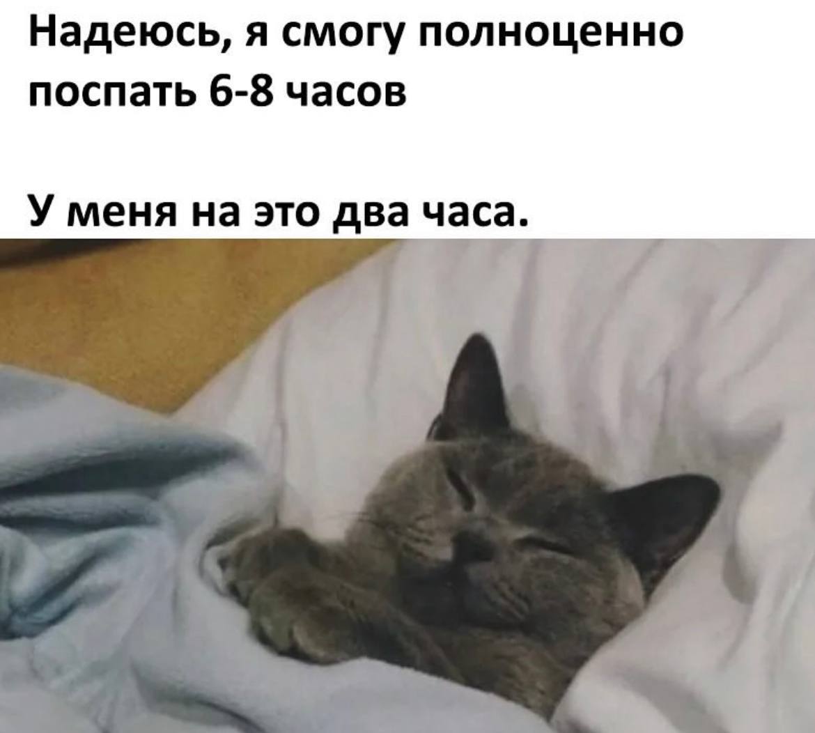 🐸жабья принцесса👑 tweet media