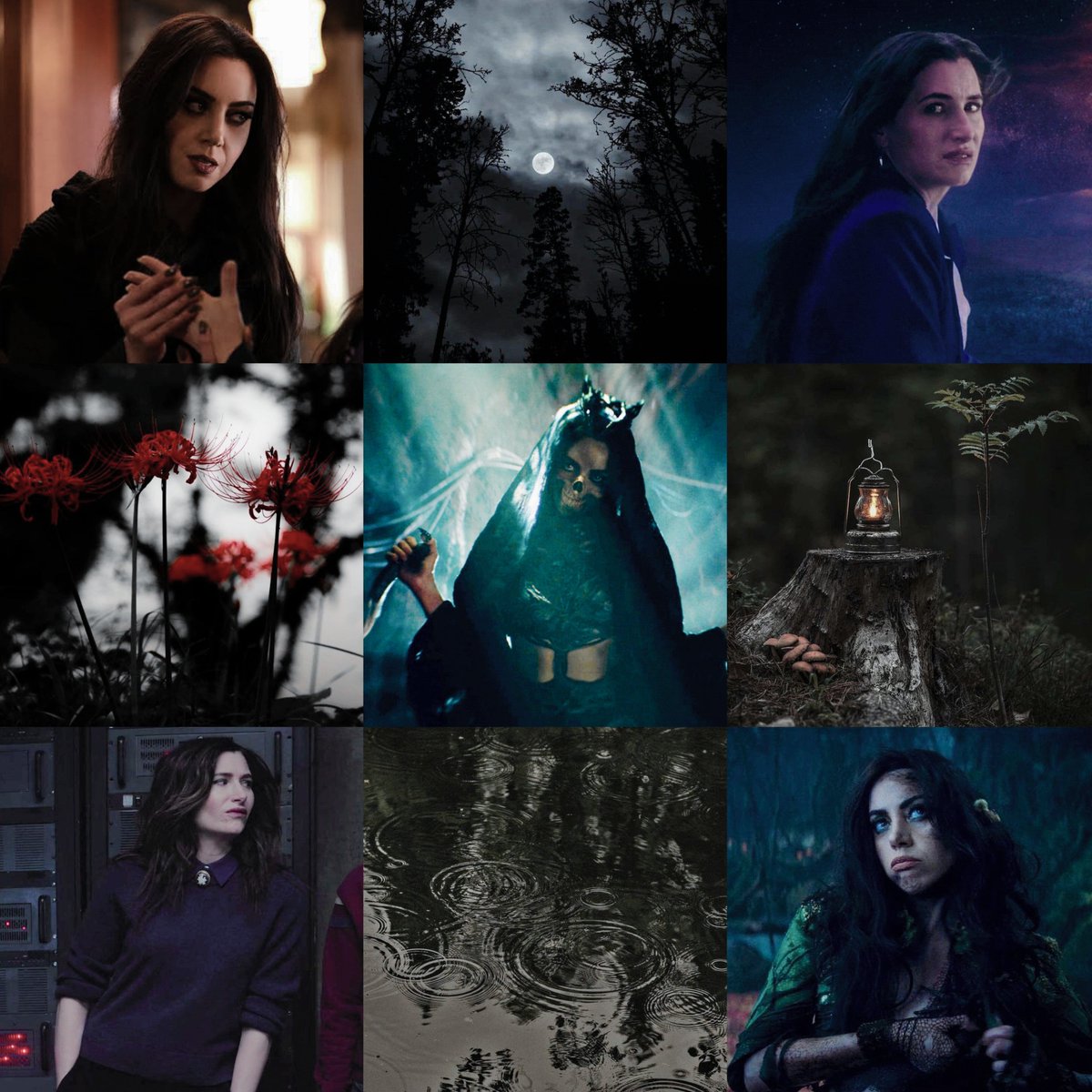 nic 🌿 tweet media