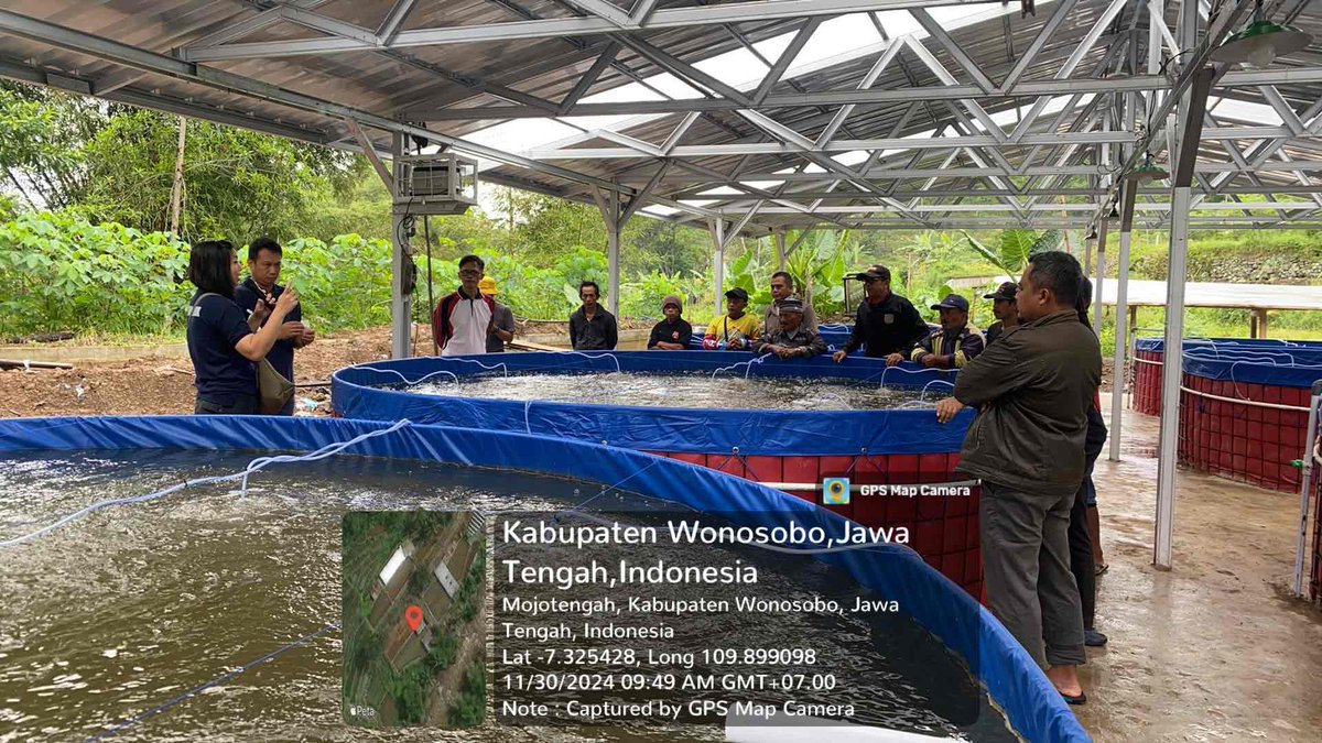 IstiAnggih's tweet photo. Sabtu (30/11/2024), Anggih Isti, Luhkan Kab.Wonosobo mendampingi pelatihan budidaya Bioflok di Pokdakan “Mina Tirta Wening”

#GiatLuhkanSatminkalTegal 
#luhlapor 
@PKBLU_bp3tegal https://t.co/0FdPabG6It