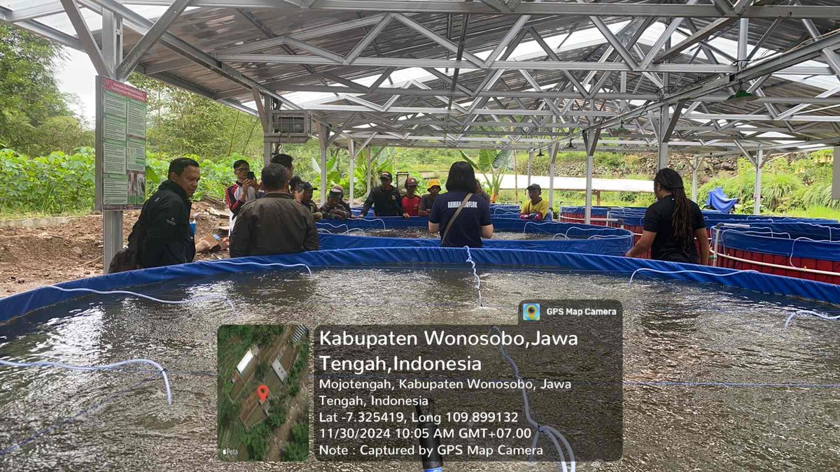IstiAnggih's tweet photo. Sabtu (30/11/2024), Anggih Isti, Luhkan Kab.Wonosobo mendampingi pelatihan budidaya Bioflok di Pokdakan “Mina Tirta Wening”

#GiatLuhkanSatminkalTegal 
#luhlapor 
@PKBLU_bp3tegal https://t.co/0FdPabG6It