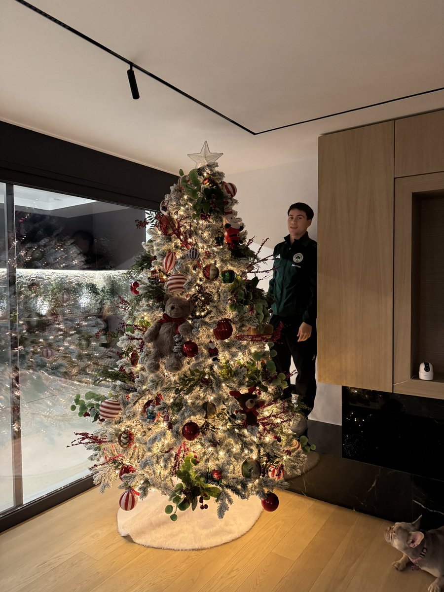 camibgarr's tweet photo. 🎄 https://t.co/U3kekfJPVr