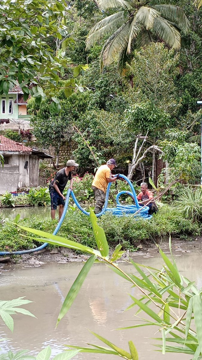 NitaFarida_1704's tweet photo. Selasa (03/12), Nita Siti Farida, Luhkan Garut, di Pokdakan Samilik Berkah Ds Cisompet, panen ikan nila sebanyak 250 kg di salah satu anggota kelompok #GiatLuhkanSatminkalbogor #KabGarut #Aktivitas
@brpbatpp_bogor
@pusluh_bppsdm
@bppsdm_kp https://t.co/MgUV6qCUVM