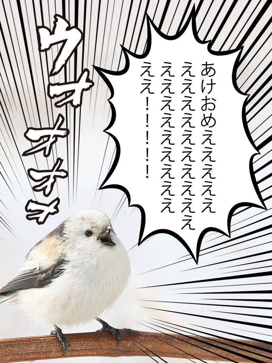 daily_simaenaga's tweet photo. あけましておめでとう
ことしもよろしくね（・▴・） https://t.co/Xx3jhhq8zI