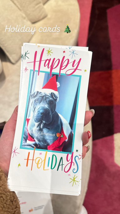 4 pic. Happy holidays https://t.co/8SuuUeeN9u