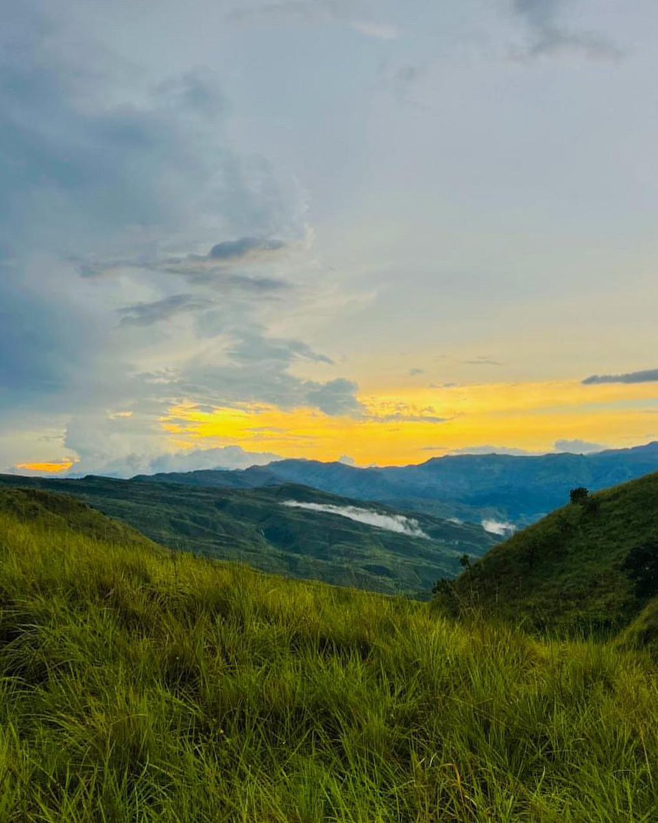 PanamaToursPTY's tweet photo. Panamá Tour Company te invita a vivir una experiencia inolvidable.

Camina entre senderos , rodeado de neblina y un ambiente que parece sacado de un sueño. 🌄 Crea momentos únicos que se convertirán en recuerdos para toda la vida.
📞 Contáctanos al 6917-1517 https://t.co/33RLYOA9qu