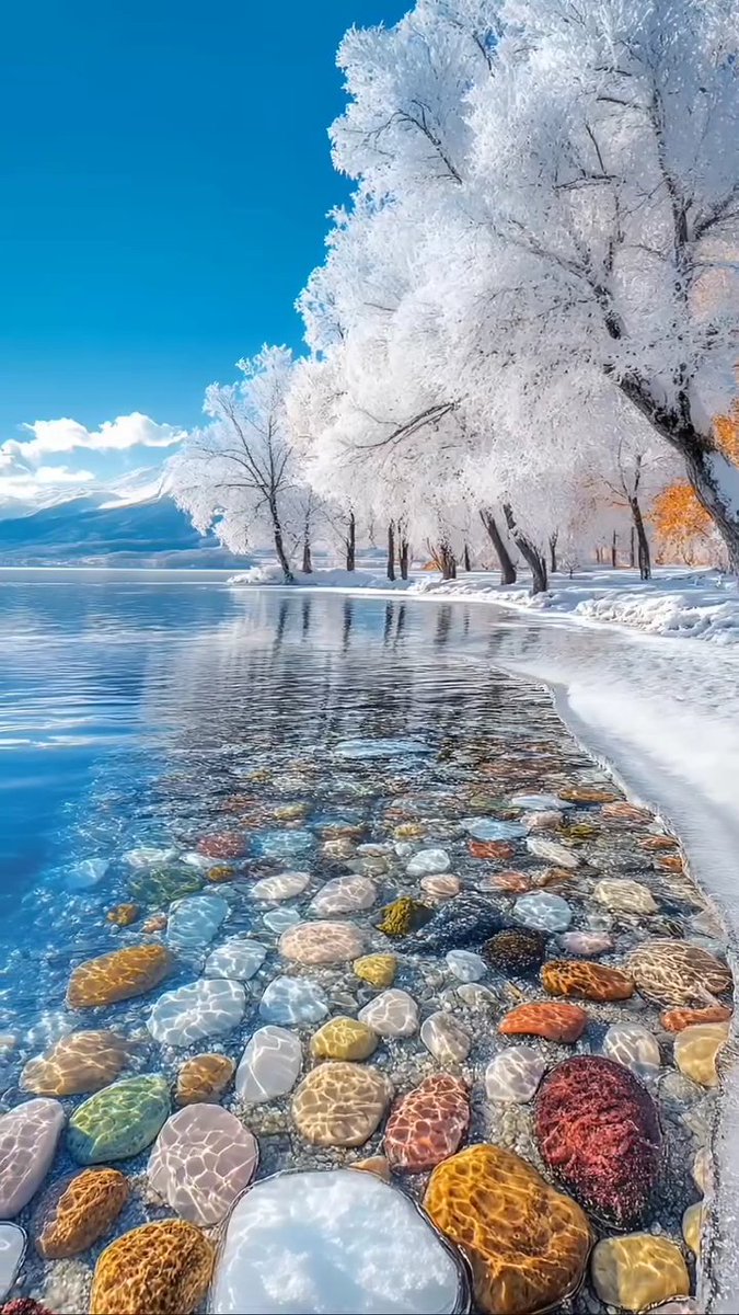 coco_p2a's tweet photo. Happy new week ! https://t.co/gJqLJQ3wkB