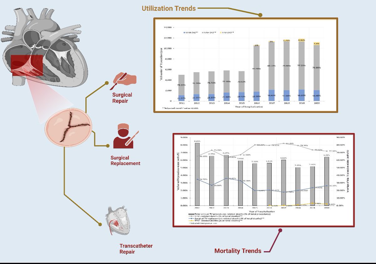 Ahmad Jabri MD , FACC, FSCAI (@ahmadjabri8) on Twitter photo Check out our manuscript 📝 about trends in surgical and transcatheter interventions for tricuspid regurgitation using national inpatient sample @crm
pubmed.ncbi.nlm.nih.gov/39550306/
<a href="/PedroMDMSc/">Pedro Villablanca MD, MSc, FACC, FSCAI</a> <a href="/BillONeillMD/">William W. O'Neill</a> <a href="/amrabbasmd/">Amr Abbas</a>
<a href="/g_giustinoMD/">Gennaro Giustino, MD</a> <a href="/BeaumontCards/">William Beaumont Hospital - Cardiology Fellowship</a> <a href="/HFHCardioFellow/">Henry Ford Hospital Cardiology Fellowship</a> Check out our manuscript 📝 about trends in surgical and transcatheter interventions for tricuspid regurgitation using national inpatient sample @crm
pubmed.ncbi.nlm.nih.gov/39550306/
<a href="/PedroMDMSc/">Pedro Villablanca MD, MSc, FACC, FSCAI</a> <a href="/BillONeillMD/">William W. O'Neill</a> <a href="/amrabbasmd/">Amr Abbas</a>
<a href="/g_giustinoMD/">Gennaro Giustino, MD</a> <a href="/BeaumontCards/">William Beaumont Hospital - Cardiology Fellowship</a> <a href="/HFHCardioFellow/">Henry Ford Hospital Cardiology Fellowship</a>