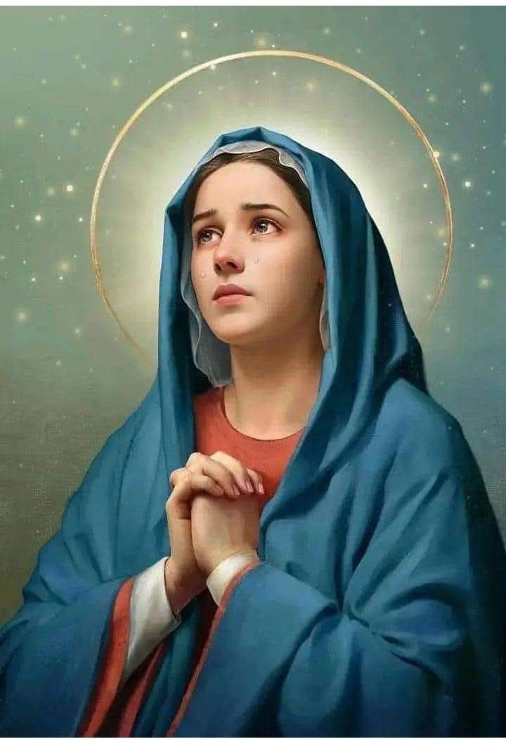 BlaiseKanda2's tweet photo. Ce matin, prie :
Dieu de ma vie 
Dieu de Marie 
A travers elle, Tu nous dis: 
Même si la vie est dure
Demeurez toujours purs 
Même dans un océan d'iniquité
Soyez des îlots de sainteté. https://t.co/tOGDCvpWdi