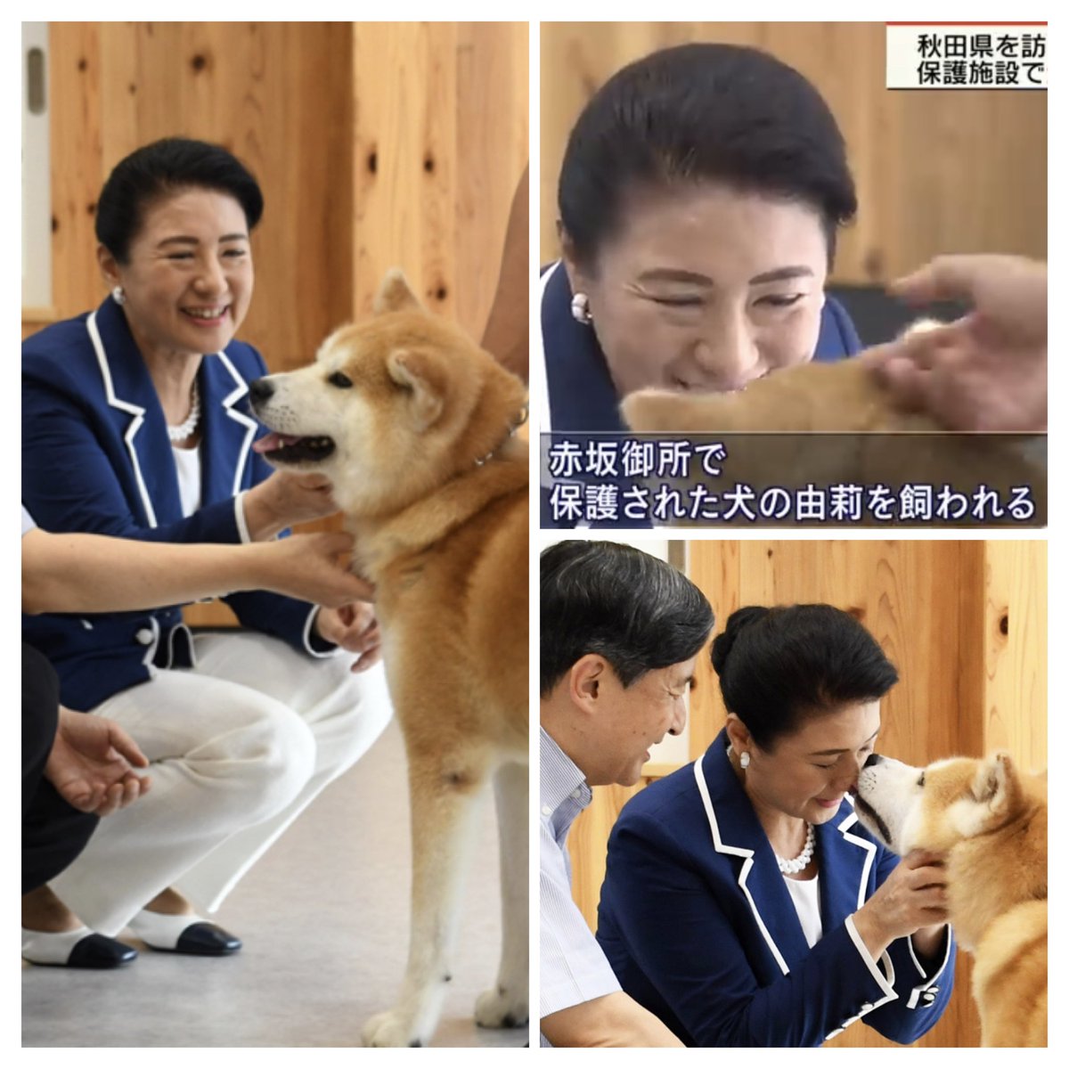 43H4LLg65tQNyEo's tweet photo. 秋田県動物愛護センターで、秋田犬と触れ合い撫でられた雅子さまのお優しい表情はほんとうに内面の美しさが溢れていらっしゃる。

#令和弥栄
#皇后陛下 https://t.co/8BcoArZbQW