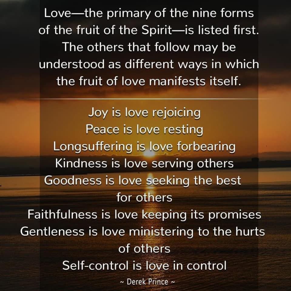 Warriortotruth's tweet photo. 📖 Galatians 5:22-23 "But the fruit of the Spirit is love, joy, peace, longsuffering, gentleness, goodness, faith, Meekness, temperance: against such there is no law"
Love makes the others possible ♥️🕊 #LoveManifested #FruitOfTheSpirit https://t.co/WscHZqXwyW