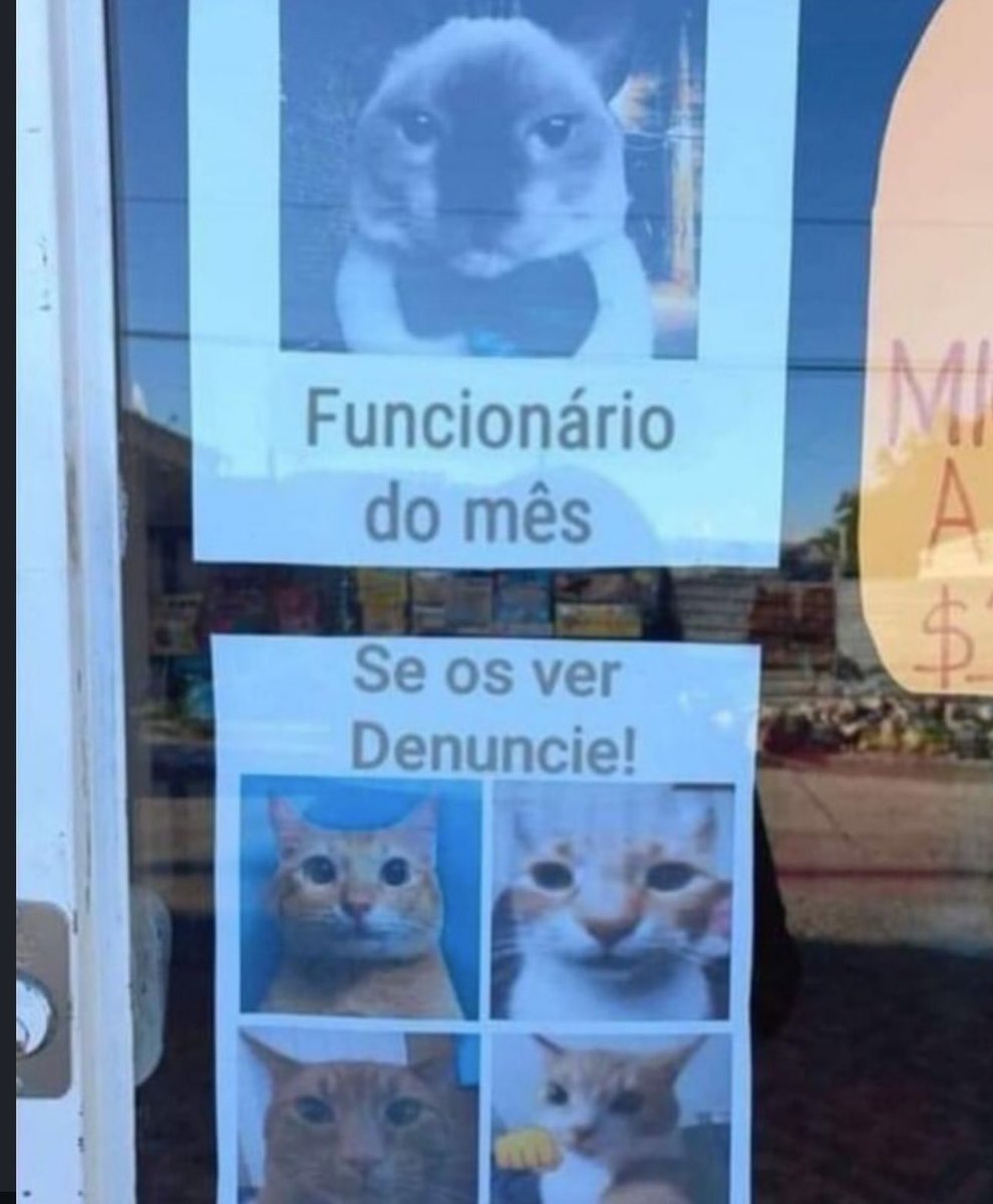 shitpostverdade tweet picture