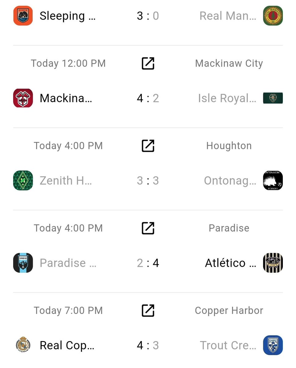 Northern Michigan Faux Football Leagues tweet media