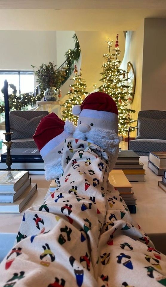 JDI01PET's tweet photo. ⠀⠀⠀⠀⠀⠀⠀⠀⠀🛷☃️🎅
⠀⠀⠀⠀⠀⠀⠀⠀⠀⠀⠀⠀
#orquideachristhmas https://t.co/W7OQf5W7tm