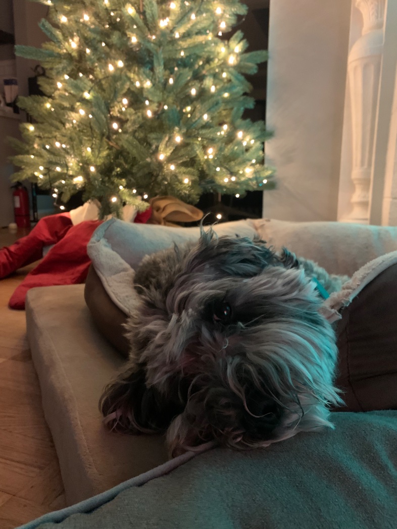 It’s that time of year