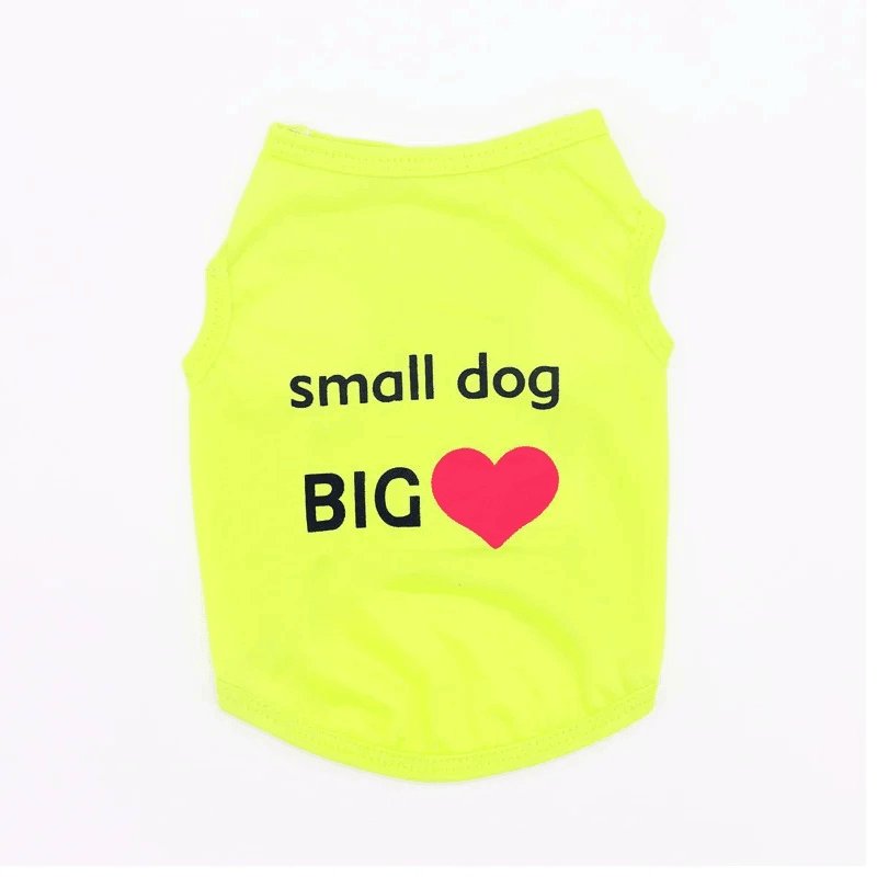 alldogitems_'s tweet photo. Ropa de verano para perros, chaleco cálido para cachorros, camisa de invierno, Chihuahua, Yorkshire best online shop AllDogItems Free Shipping

buy now
https://t.co/CRfTdL0t5C

#Dog_Clothes #alldogitems #Dog_clothes_Girl #Dog_clothes_boy #Dog_Clothes_Amazon #Luxury_dog_clothes https://t.co/9bwB9UAMvt