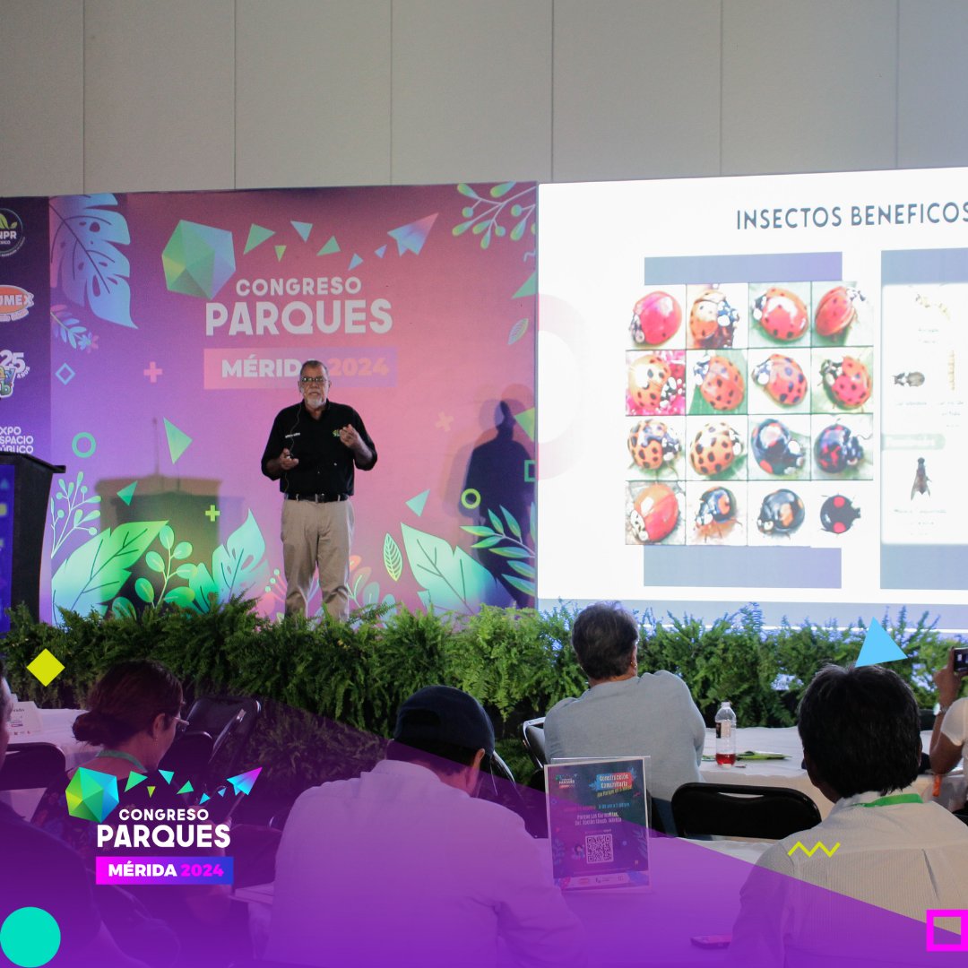 congreso_parque's tweet photo. 🌟 Revive los aprendizajes del Congreso Parques 2024 🌳✨
La ponencia «Parques saludables: Plagas y su control» destacó la importancia del manejo responsable de plaguicidas y estrategias sostenibles para proteger la flora. 🐜💚
⛓️ https://t.co/bszRpdUwJ6 https://t.co/597MhCtaZD