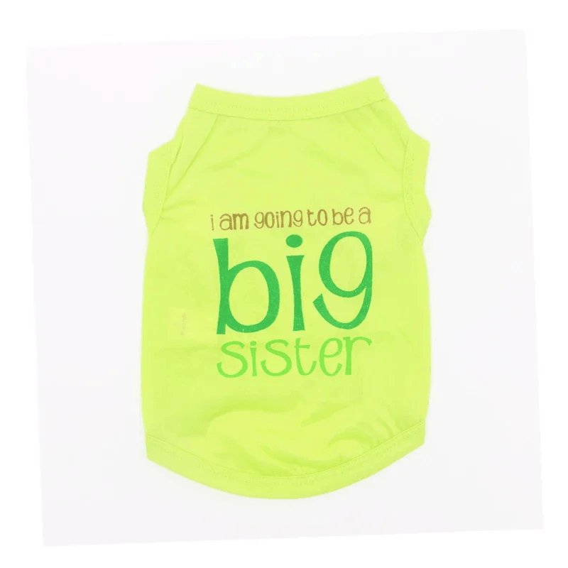 alldogitems_'s tweet photo. Ropa de verano para perros, chaleco cálido para cachorros, camisa de invierno, Chihuahua, Yorkshire best online shop AllDogItems Free Shipping

buy now
https://t.co/CRfTdKZVg4

#Dog_Clothes #alldogitems #Dog_clothes_Girl #Dog_clothes_boy #Dog_Clothes_Amazon #Luxury_dog_clothes https://t.co/CYmb93INF9