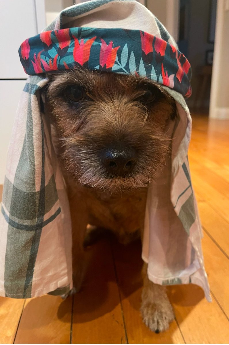 Moss the BT 🇳🇿 tweet media