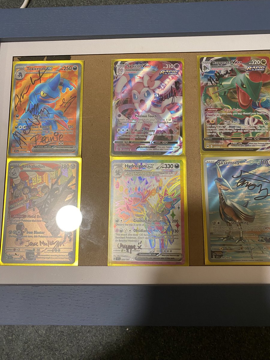 THE TOXICROAK GUY➡️NAIC? tweet media