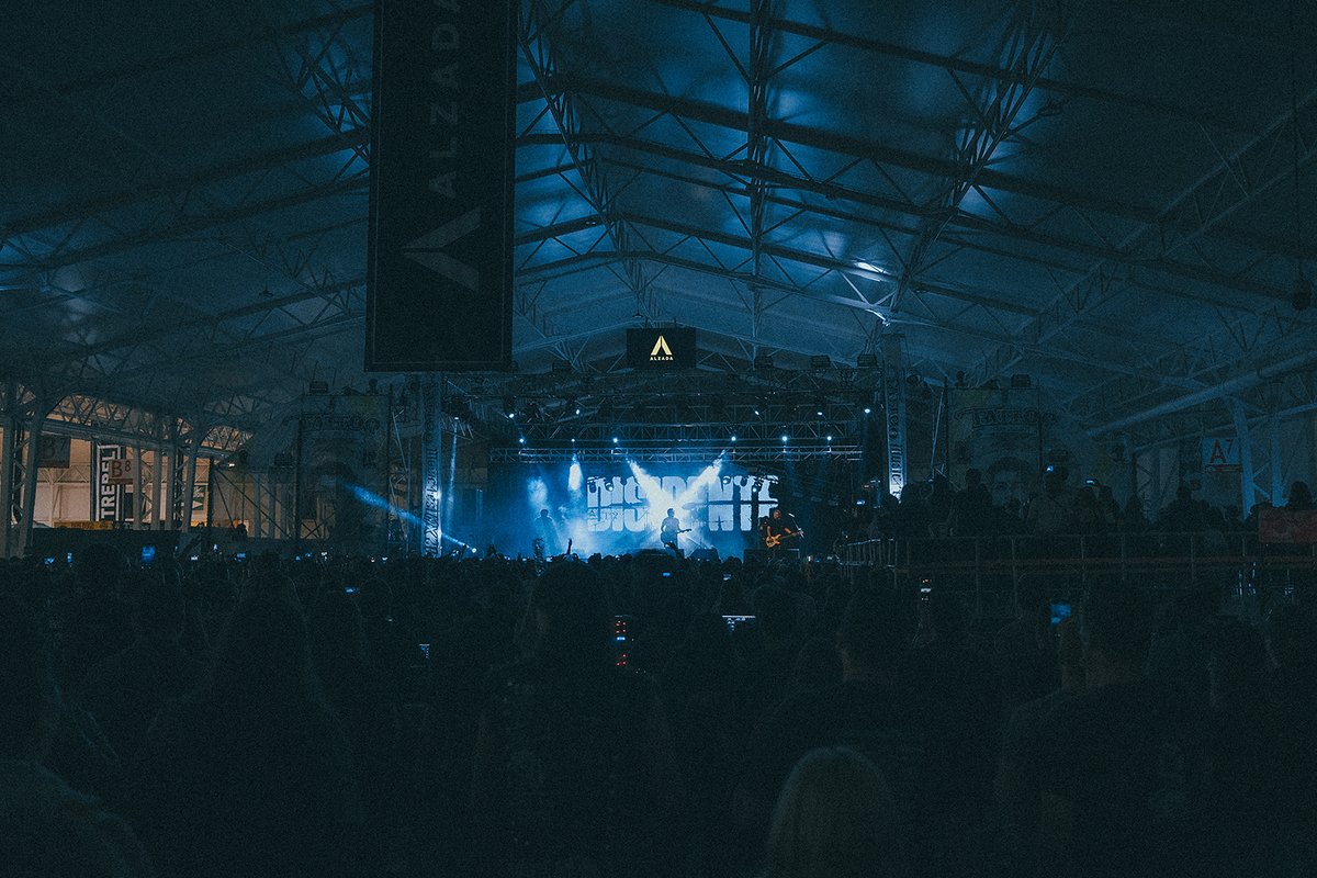 DISIDENTE tweet media