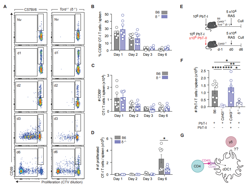 Role for γδ T cell-derived IL-4 in initiating CD8 T cell immunity to Plasmodium
doi.org/10.1101/2024.1…
<a href="/Lynette_Beattie/">Lynette Beattie</a>