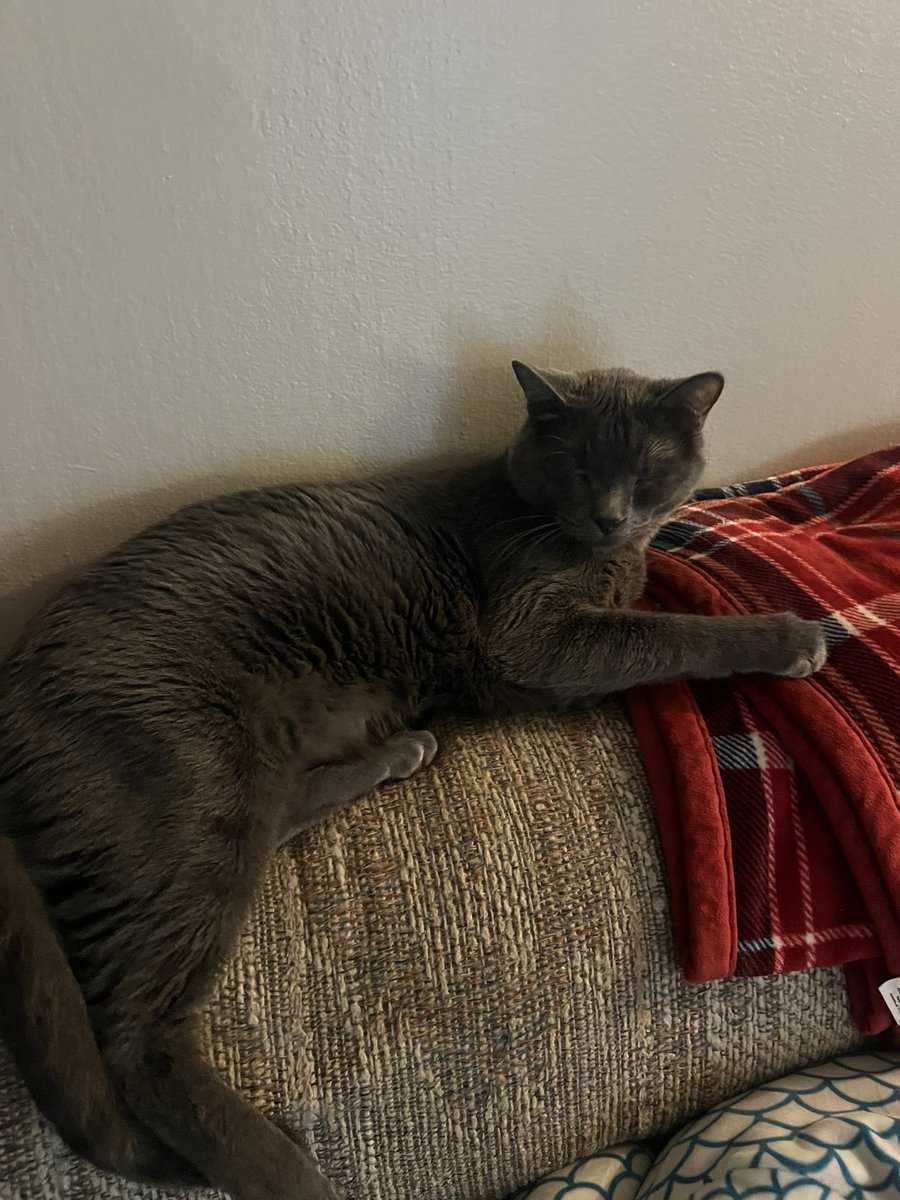 multimel_9's tweet photo. @toxoplasmosii Loenn says he hopes you feel better!! https://t.co/qfF76KNo3I