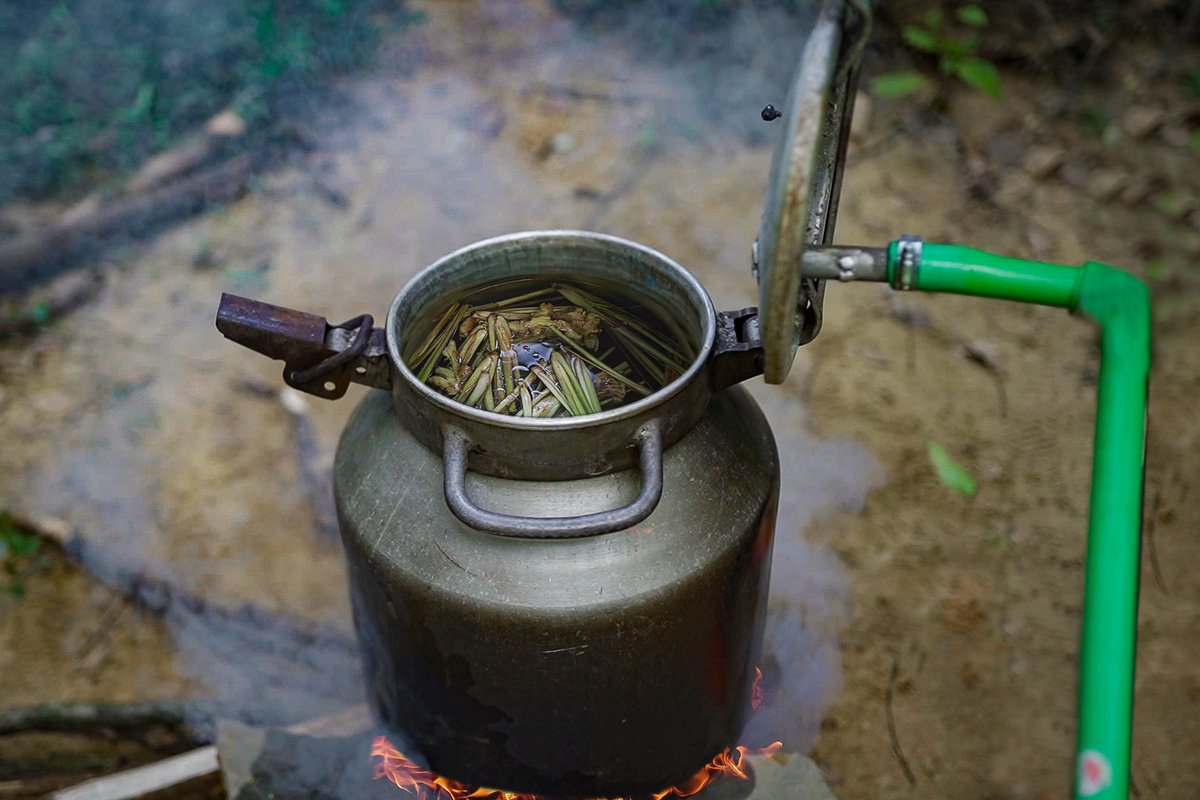 OxalisAdventure's tweet photo. 🌿 Oxalis Jungle Steambath – A winter-exclusive treat!

Relax in a cozy, fragrant tent (45-47°C) with ginger and lemongrass after trekking. Recharge, sip tea by the fire, and enjoy serene forest sunsets.

📷 Embrace winter—book your tour now for unforgettable adventures! https://t.co/lDuIbtkucf