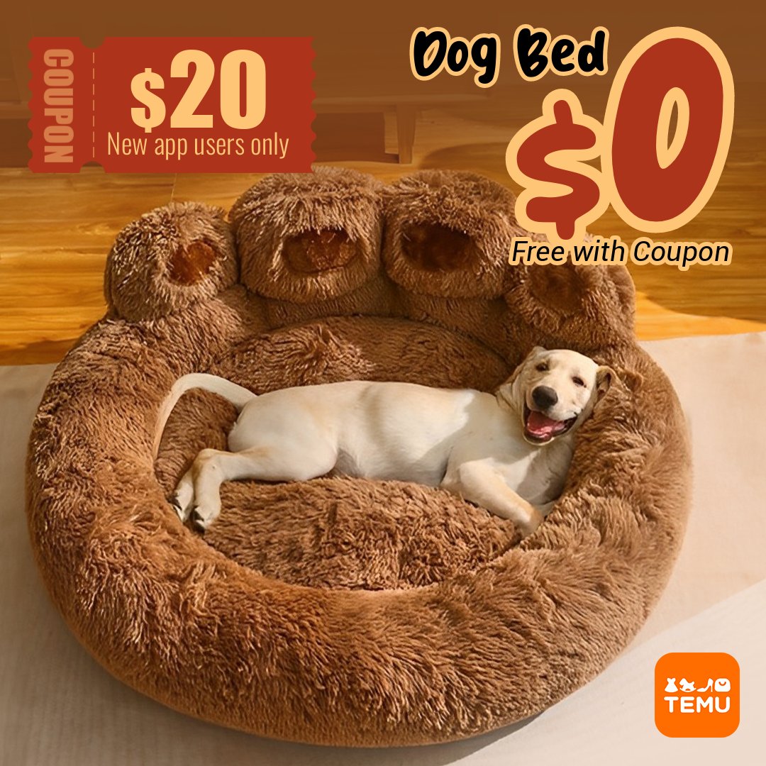 shoptemu's tweet photo. Safety comes first for your pets as well, find the supplies they need here.