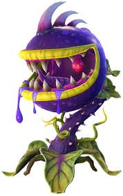 drdoomsday0919's tweet photo. @bomboy70 Your plant-ass character has a plant to either fight or befriend https://t.co/XS4lbjhk63