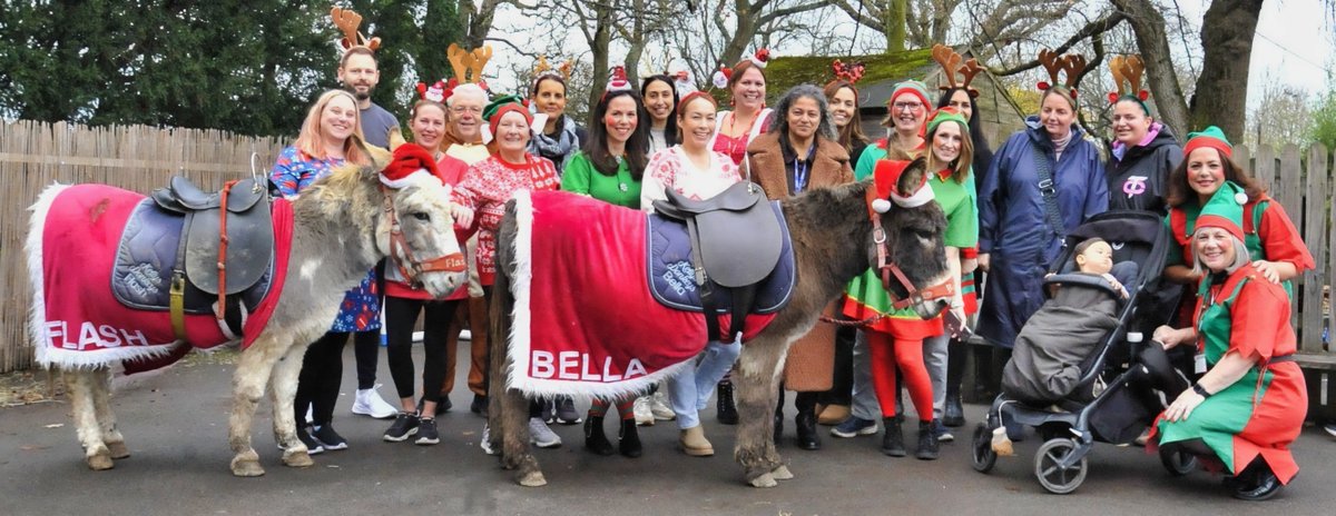 bearwoodprimary's tweet photo. What an amazing Christmas Celebration!   A massive thank you to our incredible PTA for creating such a memorable afternoon.   The sheer hard work of the PTA was evident - it was phenomenal, as can be seen in these photographs. https://t.co/yh7uKeG8U2