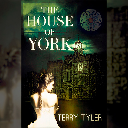 Terry Tyler tweet media