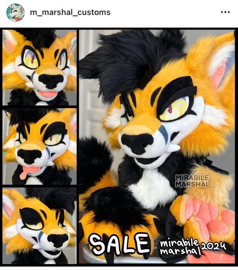 KabberCreations's tweet photo. If anyone got me this premade I’d make them a fullsuit in return,,

#furry #fursuit #fursuitmaker https://t.co/YPlZzYRSpm