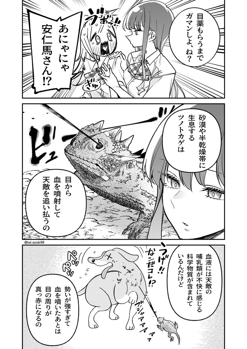 2/2 