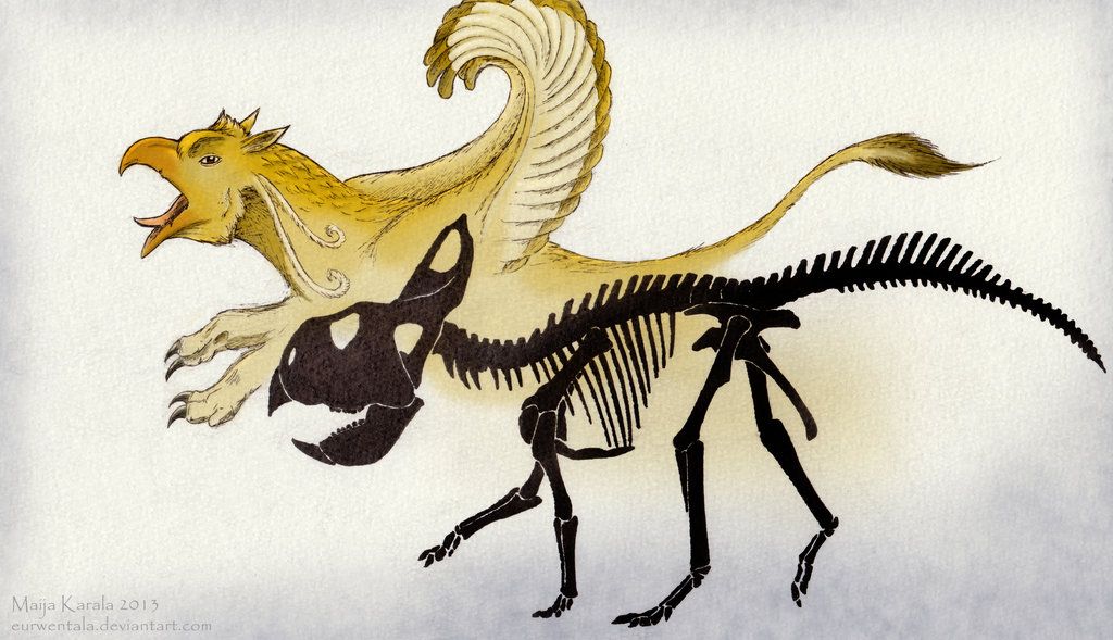 The myth of the griffin—a creature with the back half of a lion &amp; front half of an eagle—may have originated with the protoceratops, a four-legged dinosaur with a parrot-like beak. Early fossil hunters may have believed their skeletons were that of griffins. #MythologyMonday