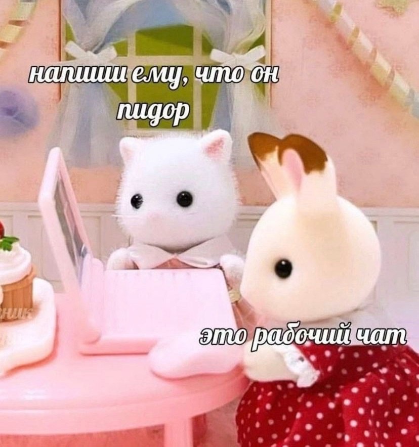 залив Свиней. ну почти (@kubanouid) on Twitter photo 