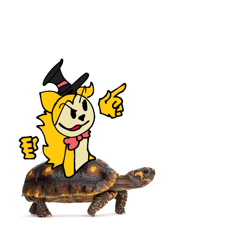 Nmms
Me encontre a mi tortuga en la cocina en plena madrugada hahaha

Vamos TortuAmigo!!