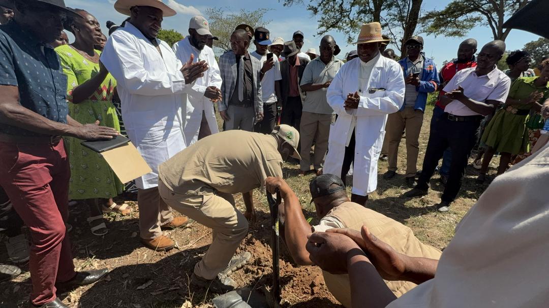 mashcentralinfo's tweet photo. "Let us work hand in hand to restore our ecosystems and enhance the livelihoods of our communities. Trees are life, and together, we can ensure they flourish for generations to come,"said Minister Magomo during Saturday's national tree planting day at Vonabo Pry School in Mazowe. https://t.co/pgAPlhPxkx