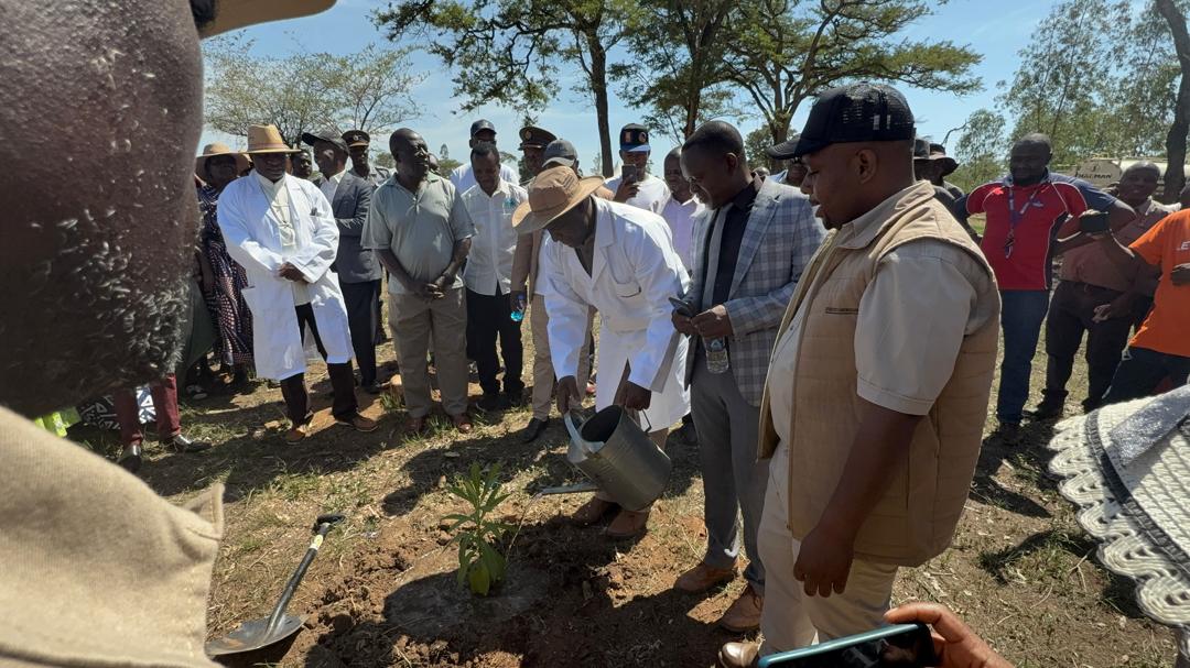 mashcentralinfo's tweet photo. "Let us work hand in hand to restore our ecosystems and enhance the livelihoods of our communities. Trees are life, and together, we can ensure they flourish for generations to come,"said Minister Magomo during Saturday's national tree planting day at Vonabo Pry School in Mazowe. https://t.co/pgAPlhPxkx