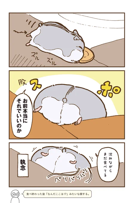 (6/9) 