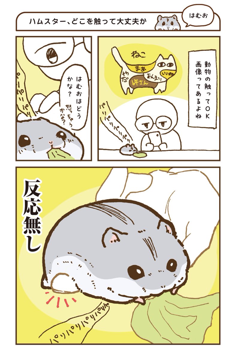 yuhachi_hamster's tweet photo. 全人類ハムスター見ろ(1/9) https://t.co/JkowQiFjzl