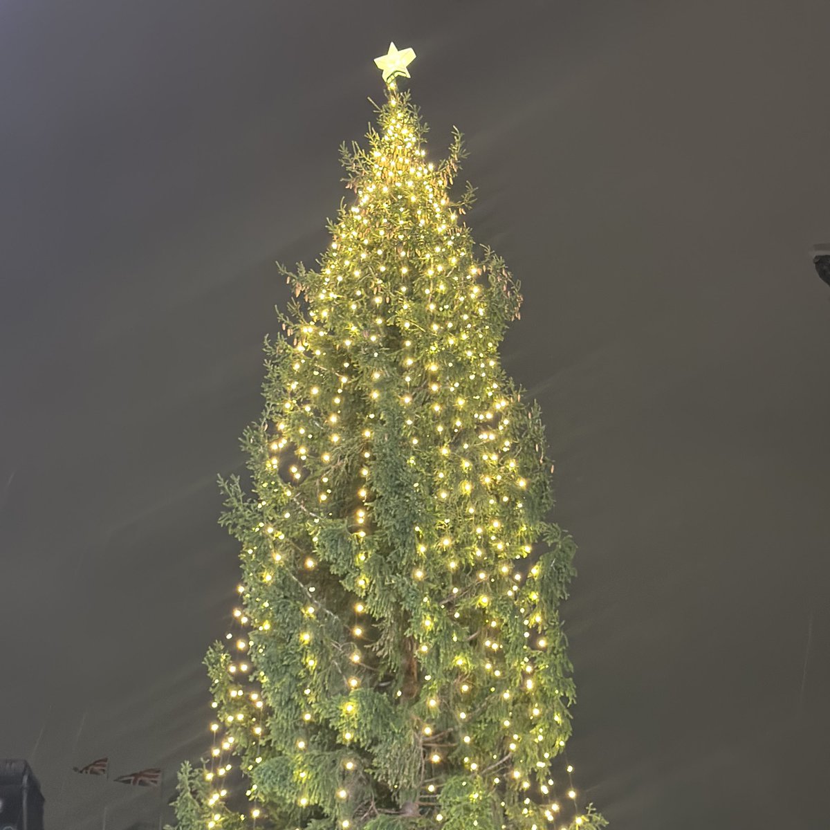 Instead of celebrating my iconic arrival, some of you thought that mocking me will boost your likes? Cute 💅

Since 1947, I’ve stood tall as Norway’s fir-mly rooted thank-you - I’m a timeless symbol of unity, not your clickbait. 🎄

Find out more 👇
linktr.ee/trafalgartree