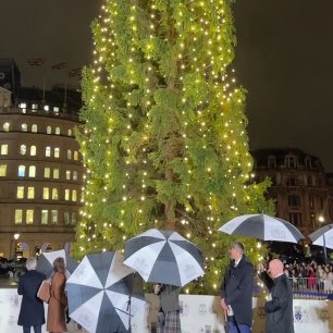 trafalgartree's tweet image. Instead of celebrating my iconic arrival, some of you thought that mocking me will boost your likes? Cute 💅

Since 1947, I’ve stood tall as Norway’s fir-mly rooted thank-you - I’m a timeless symbol of unity, not your clickbait. 🎄

Find out more 👇
linktr.ee/trafalgartree