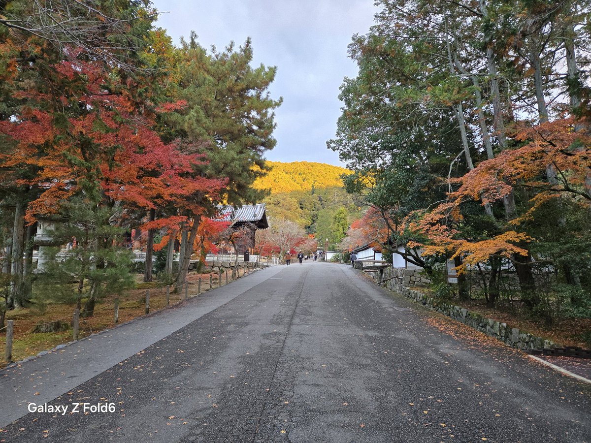 Porc_Ross's tweet photo. 京都の南禅寺に行って来ましたが、さすが紅葉ランキング上位の場所だけに最高の紅葉🍁です。 https://t.co/28E36jGivt