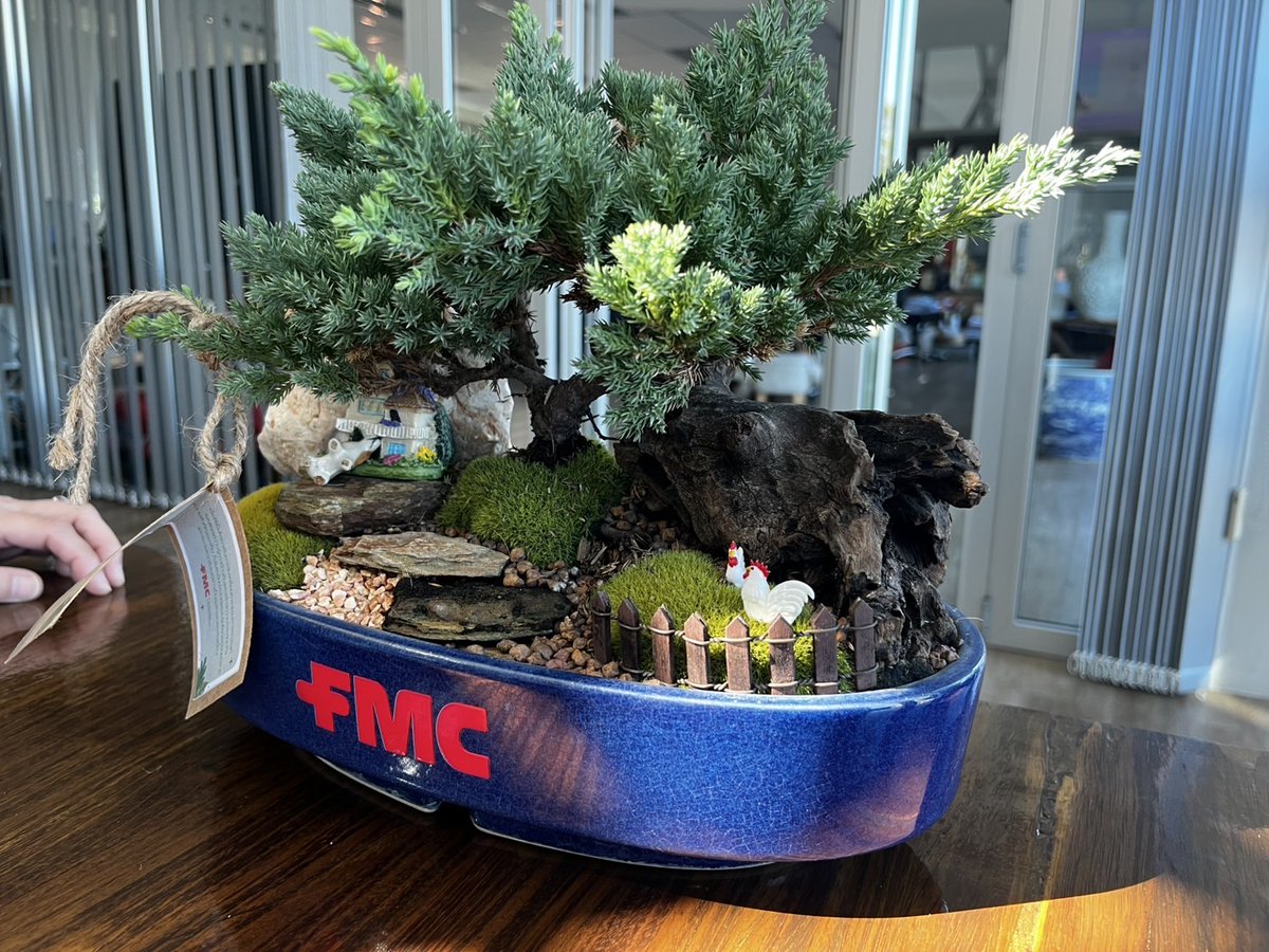 fmcapac's tweet photo. At FMC, we advocate for healthy soils and sustainable farming. This World Soil Day, our Thailand team gifted potted plants to partners, symbolizing growth and biodiversity. Let’s protect our soils for a better future! 🌱🌾 https://t.co/qiaY2ac2zm