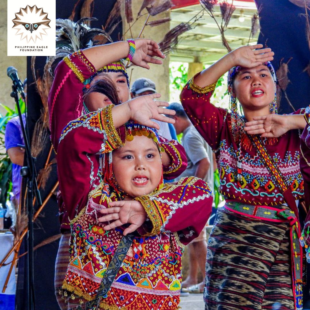 PhilEagleFdn's tweet photo. Bagobo Tagabawa's Pasumarsumari Festival 2024
Learn more about our IP community partners at https://t.co/l4tO4enjHk ⬅
📸 Andrei Lawrence Rosales, PEF-Biologst.
#IPMonday #SaveFromExtinction #SavePhEagle https://t.co/Ooz2fDpQW6