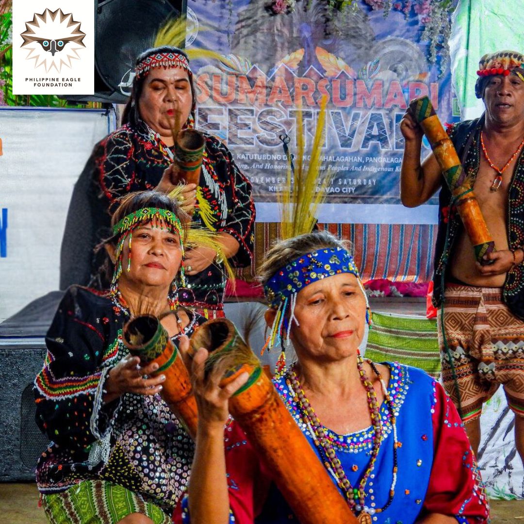 PhilEagleFdn's tweet photo. Bagobo Tagabawa's Pasumarsumari Festival 2024
Learn more about our IP community partners at https://t.co/l4tO4enjHk ⬅
📸 Andrei Lawrence Rosales, PEF-Biologst.
#IPMonday #SaveFromExtinction #SavePhEagle https://t.co/Ooz2fDpQW6