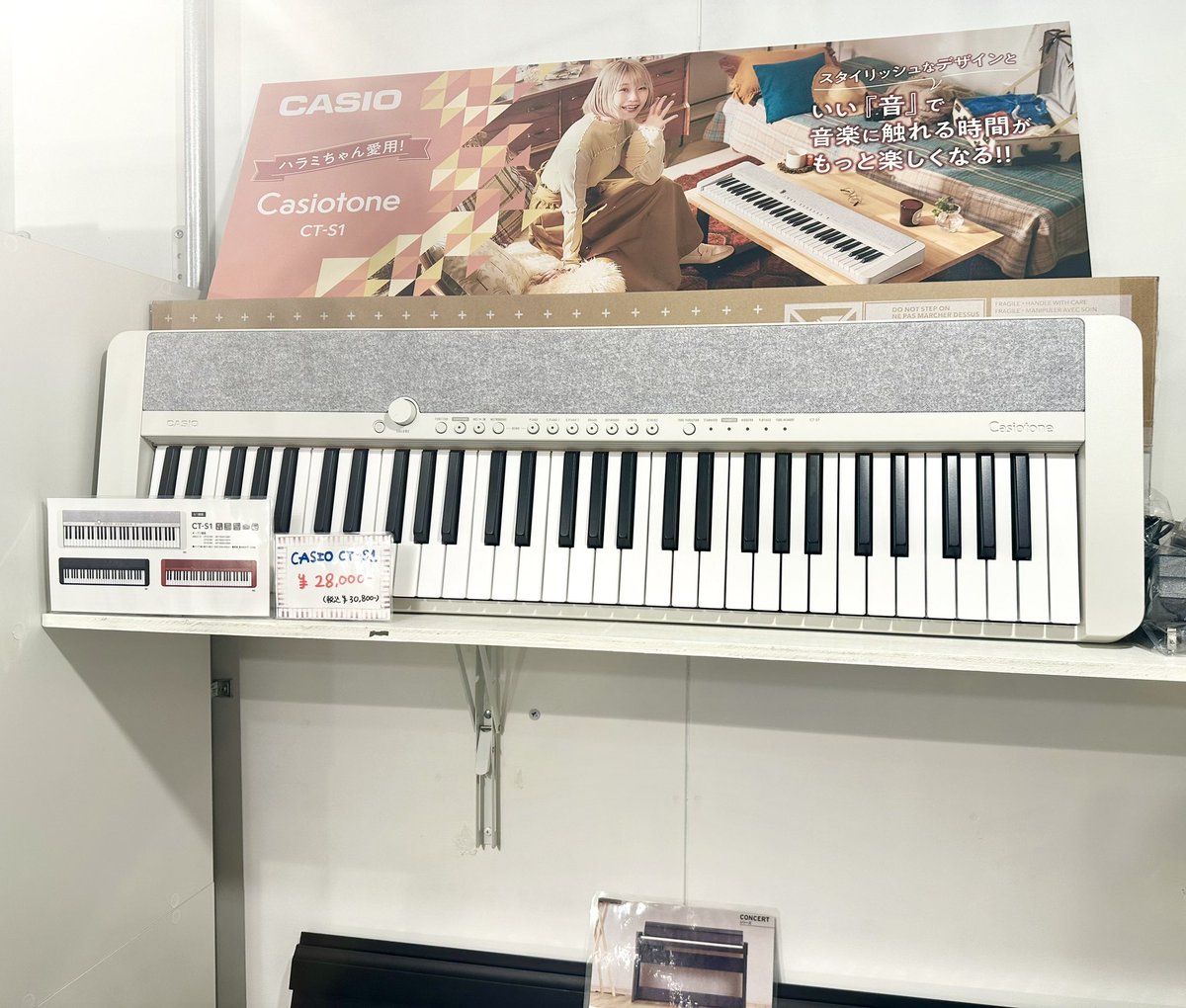 ハラミちゃんちゃんムック本プレゼント📖✨】 CASIO CT-S1、CT-S-76